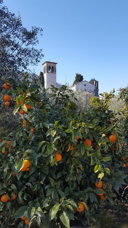 Casolare Al Dopolavoro Villa Lucca Exterior foto